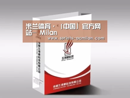 项目名称十三